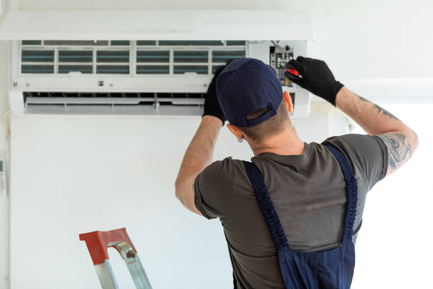 Air Duct Mold Removal in MI
