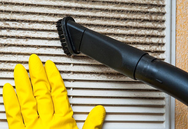 Best Professional Duct Cleaning Services  in Vandercook Lake, MI